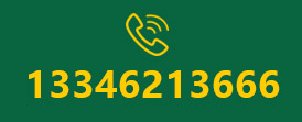 13285305568